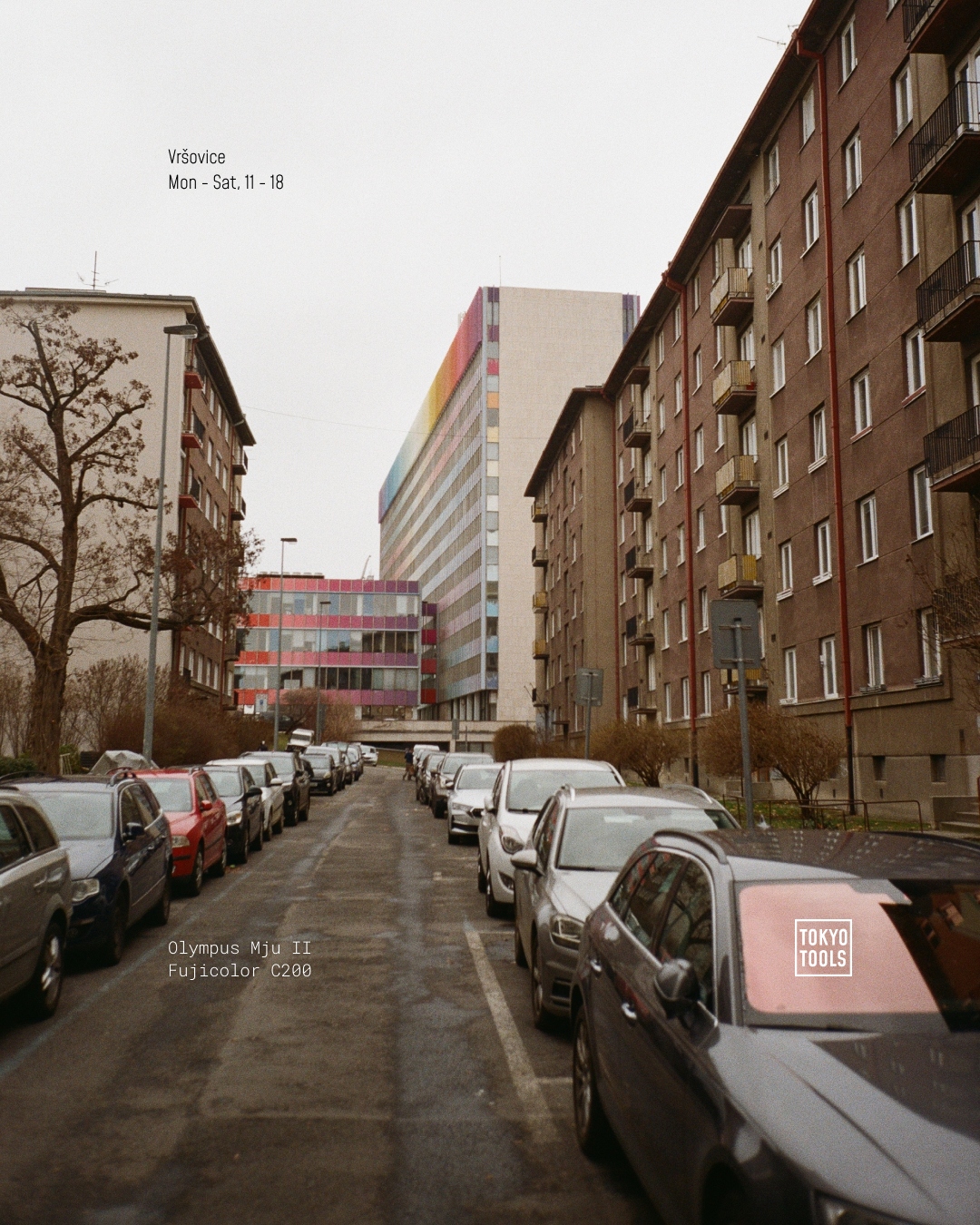 VRSOVICE-ANALOG_JANUARY_4x5-5